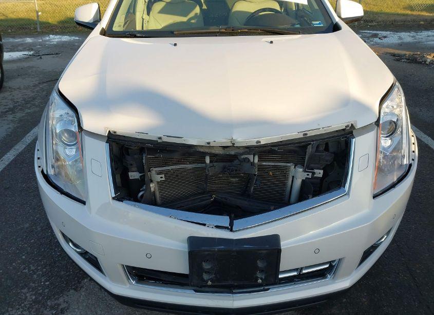 Photo 6 of 2013 Cadillac Srx PREMIUM COLLECTION (VIN 3GYFNJE33DS651829)