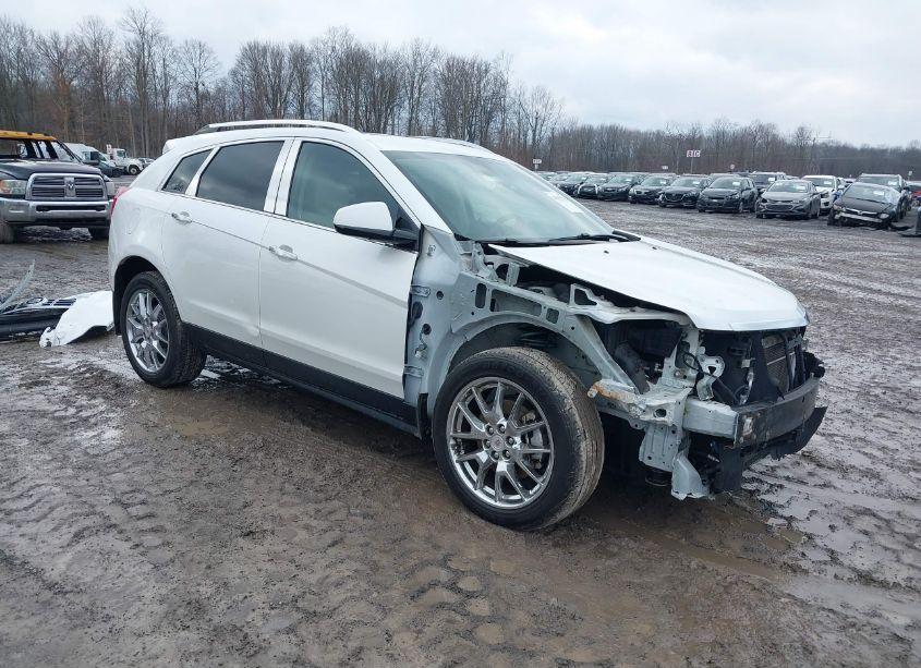 2013 Cadillac Srx PREMIUM COLLECTION (VIN 3GYFNJE37DS533413) main photo