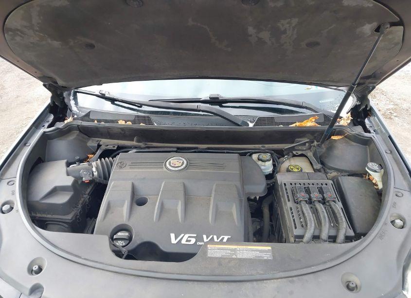 Photo 10 of 2013 Cadillac Srx PREMIUM COLLECTION (VIN 3GYFNJE38DS635948)