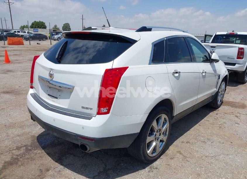 Photo 4 of 2011 Cadillac Srx TURBO PERFORMANCE (VIN 3GYFNJE63BS579800)