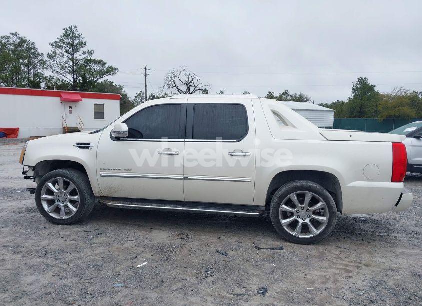 Photo 15 of 2010 Cadillac Escalade EXT STANDARD (VIN 3GYVKLEF8AG285021)