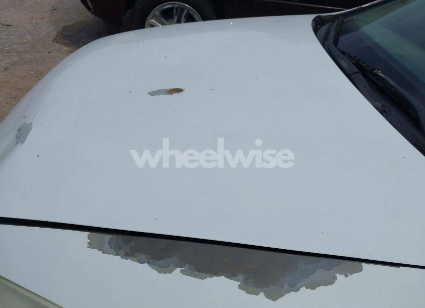 Photo 13 of 2007 Honda Accord 2.4 LX (VIN 3HGCM56437G700806)