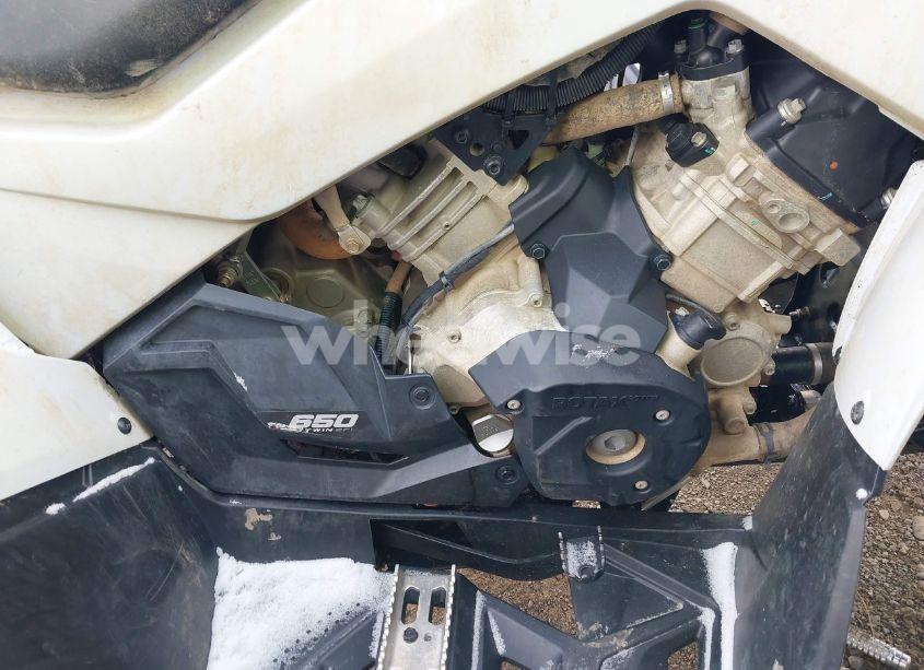 Photo 8 of 2023 Can-am Renegade 650 (VIN 3JBMGAJ4XPJ000037)