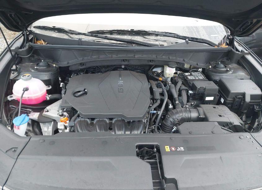 Photo 10 of 2025 Hyundai Tucson SE (VIN 3KMJA3DE8SE006189)