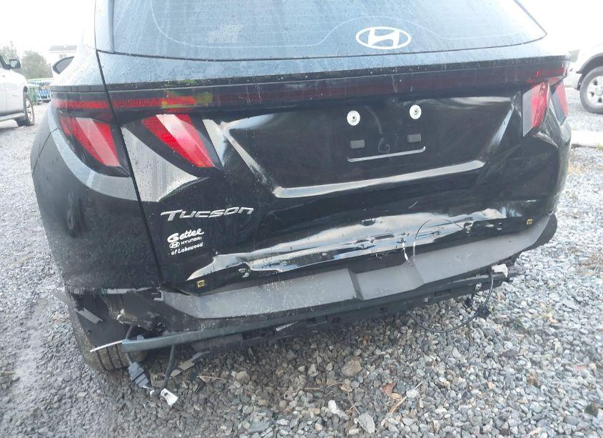 Photo 6 of 2025 Hyundai Tucson SE (VIN 3KMJA3DE8SE006189)