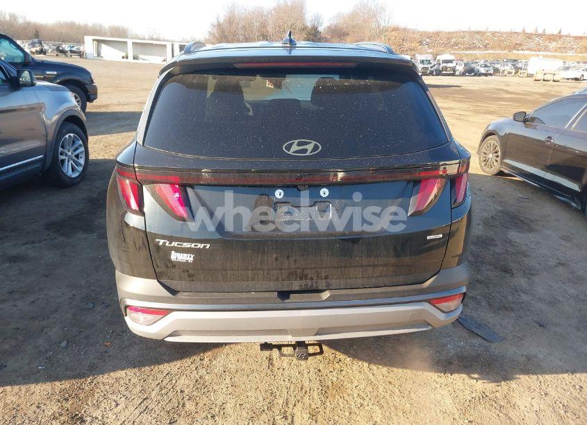 Photo 16 of 2025 Hyundai Tucson SEL (VIN 3KMJBCDE3SE003844)