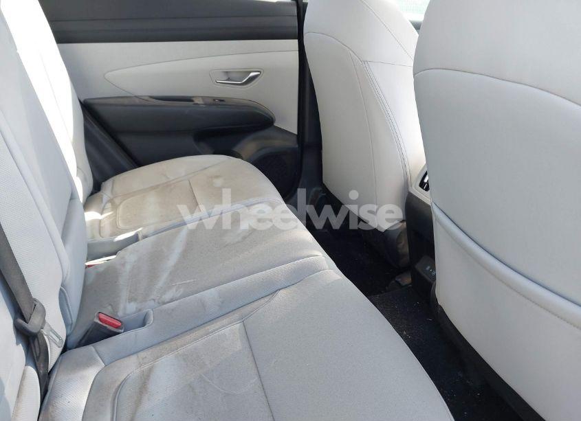 Photo 8 of 2025 Hyundai Tucson SEL CONVENIENCE (VIN 3KMJCCDE9SE009323)
