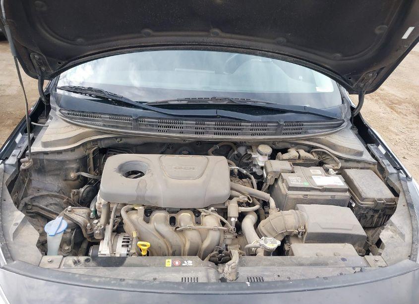 Photo 10 of 2019 Kia Rio S (VIN 3KPA24AB7KE228562)