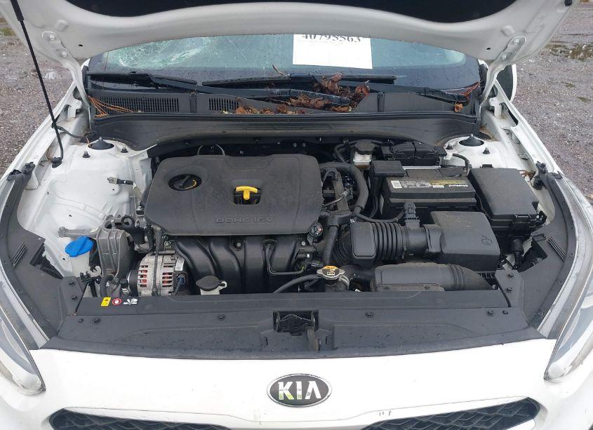 Photo 10 of 2019 Kia Forte FE (VIN 3KPF24AD0KE106407)