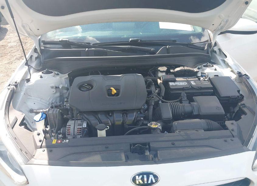 Photo 10 of 2019 Kia Forte LXS (VIN 3KPF24AD2KE045920)