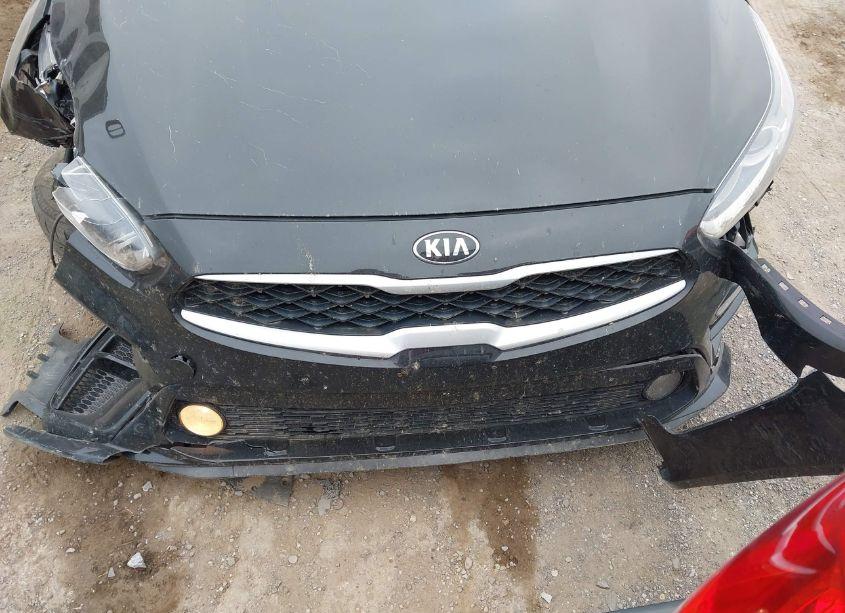 Photo 12 of 2019 Kia Forte LXS (VIN 3KPF24AD4KE086288)