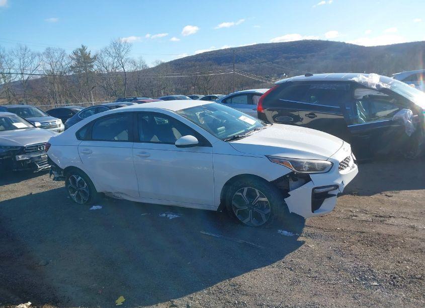 Photo 13 of 2019 Kia Forte LXS (VIN 3KPF24AD6KE116505)