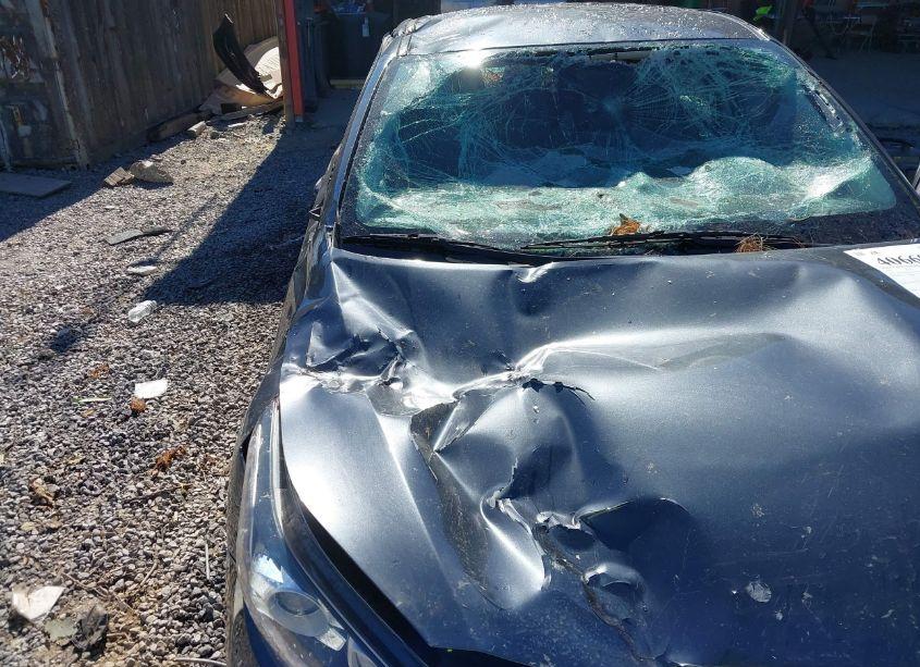 Photo 6 of 2019 Kia Forte S (VIN 3KPF34AD0KE127318)