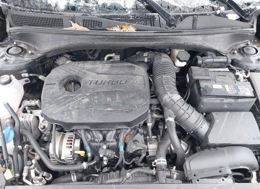 Photo 10 of 2023 Kia Forte GT (VIN 3KPF44AC0PE621481)