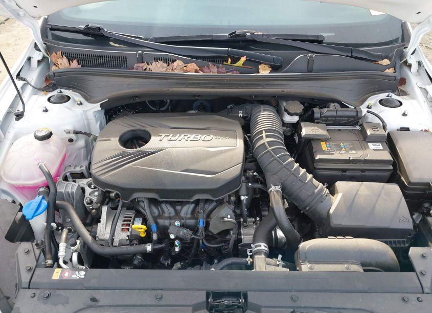 Photo 10 of 2021 Kia Forte GT (VIN 3KPF44AC7ME397802)