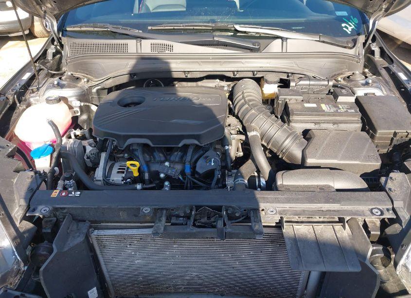 Photo 10 of 2023 Kia Forte GT (VIN 3KPF44AC8PE655913)