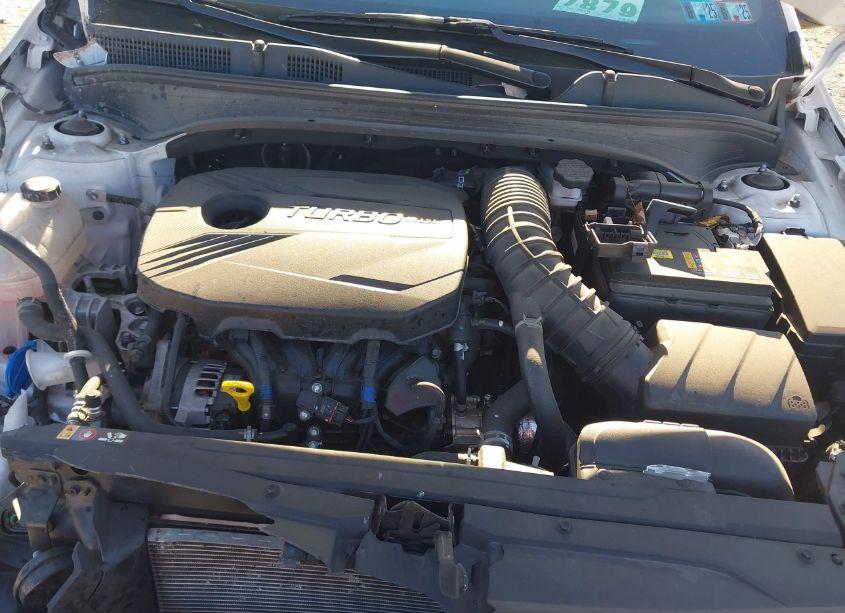 Photo 10 of 2023 Kia Forte GT (VIN 3KPF44AC9PE628137)