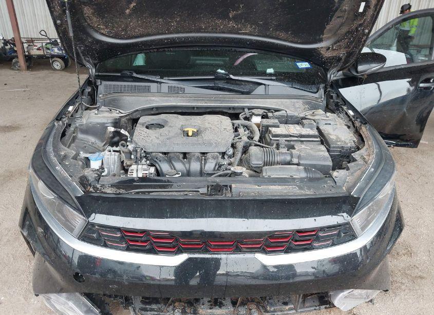 Photo 10 of 2022 Kia Forte GT-LINE (VIN 3KPF54AD1NE477944)