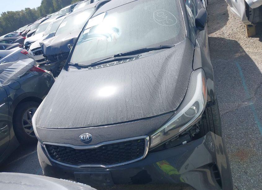 Photo 12 of 2017 Kia Forte LX (VIN 3KPFK4A70HE109214)