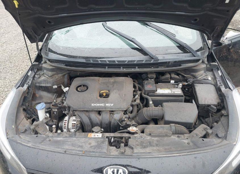 Photo 10 of 2017 Kia Forte LX (VIN 3KPFK4A79HE045268)