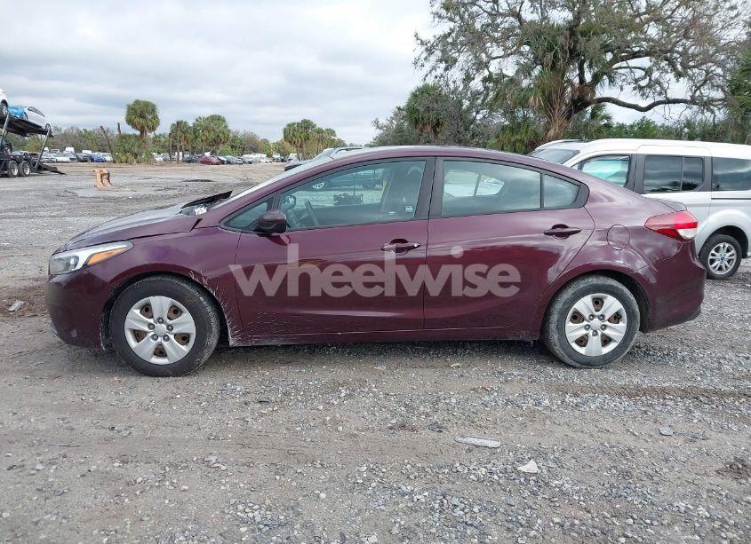 Photo 14 of 2017 Kia Forte LX (VIN 3KPFL4A73HE012084)