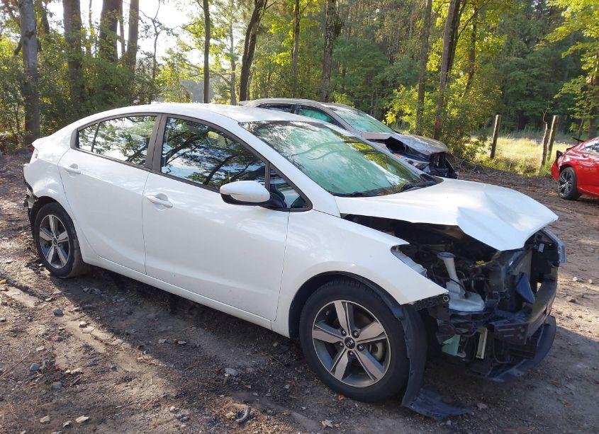 2018 Kia Forte LX (VIN 3KPFL4A77JE239462) main photo