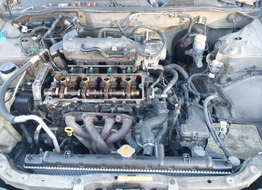 Photo 10 of 2004 Nissan Sentra 2.5S (VIN 3N1AB51AX4L474696)