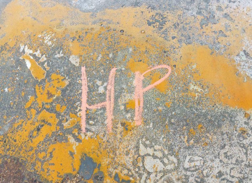 Photo 10 of 2019 Nissan Sentra SR (VIN 3N1AB7AP9KY296909)