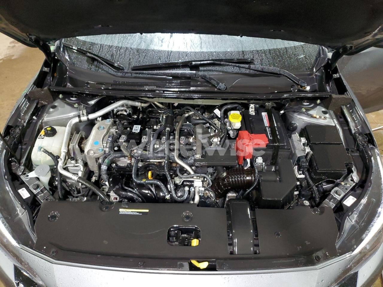 Photo 11 of 2024 NISSAN SENTRA SV N/A (VIN 3N1AB8CV2RY320110)