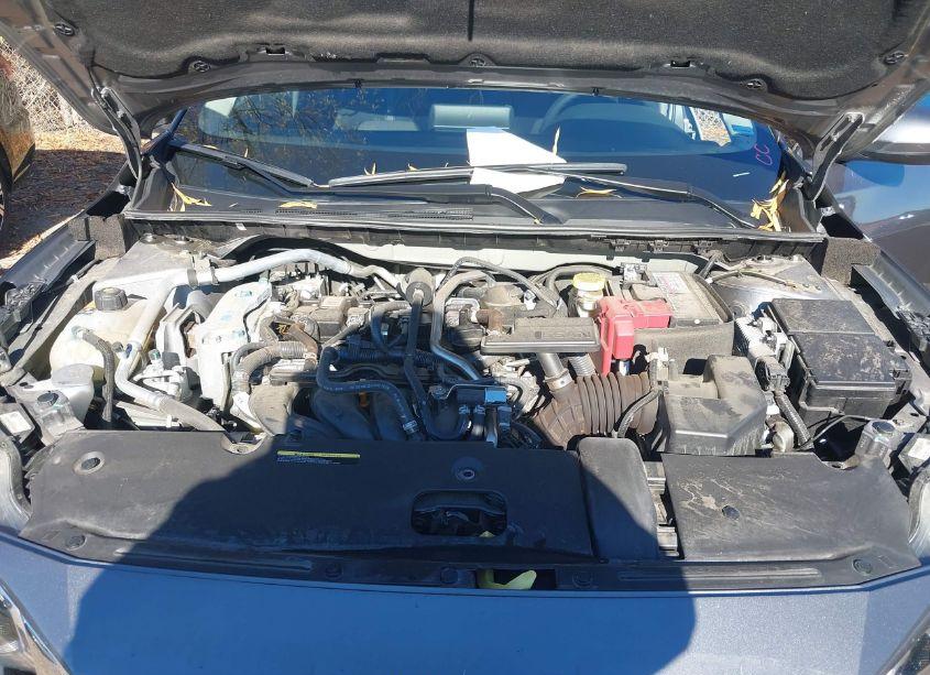 Photo 10 of 2023 Nissan Sentra SV XTRONIC CVT (VIN 3N1AB8CV6PY252990)