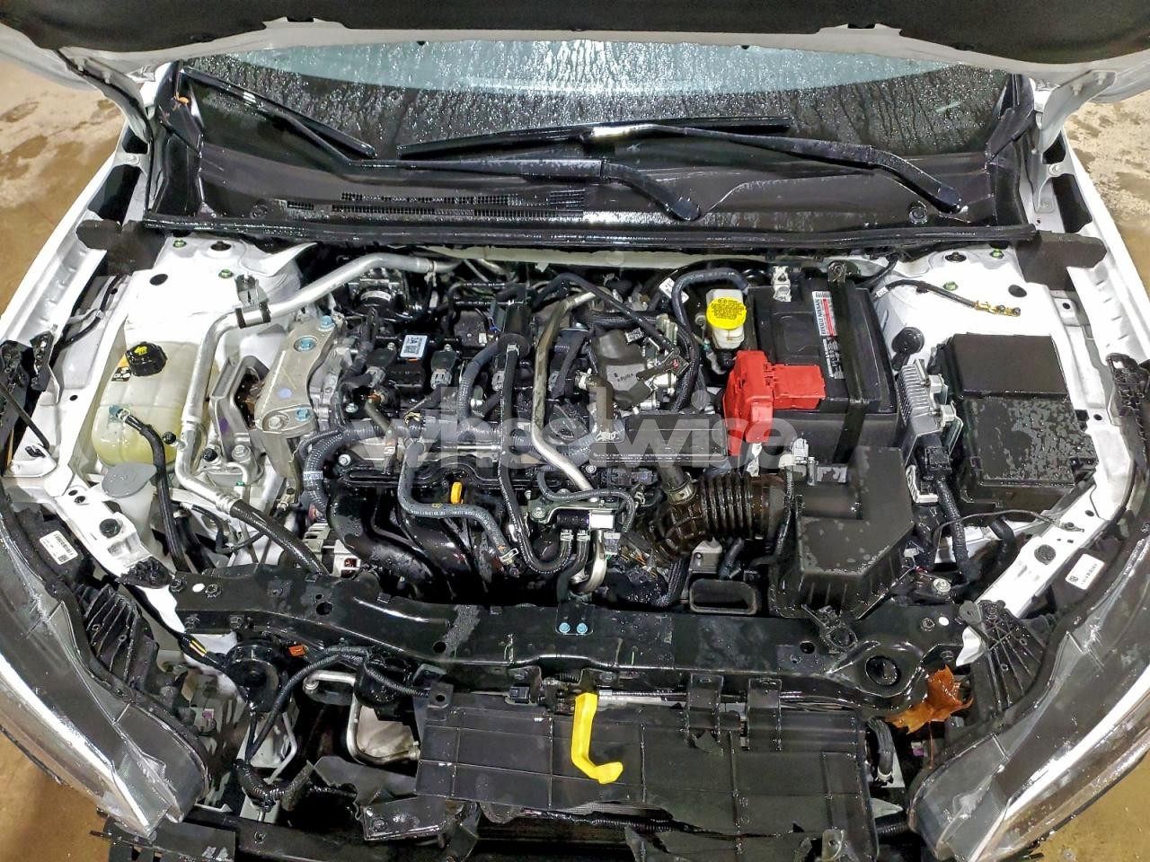 Photo 11 of 2025 NISSAN SENTRA SV (VIN 3N1AB8CV6SY274206)