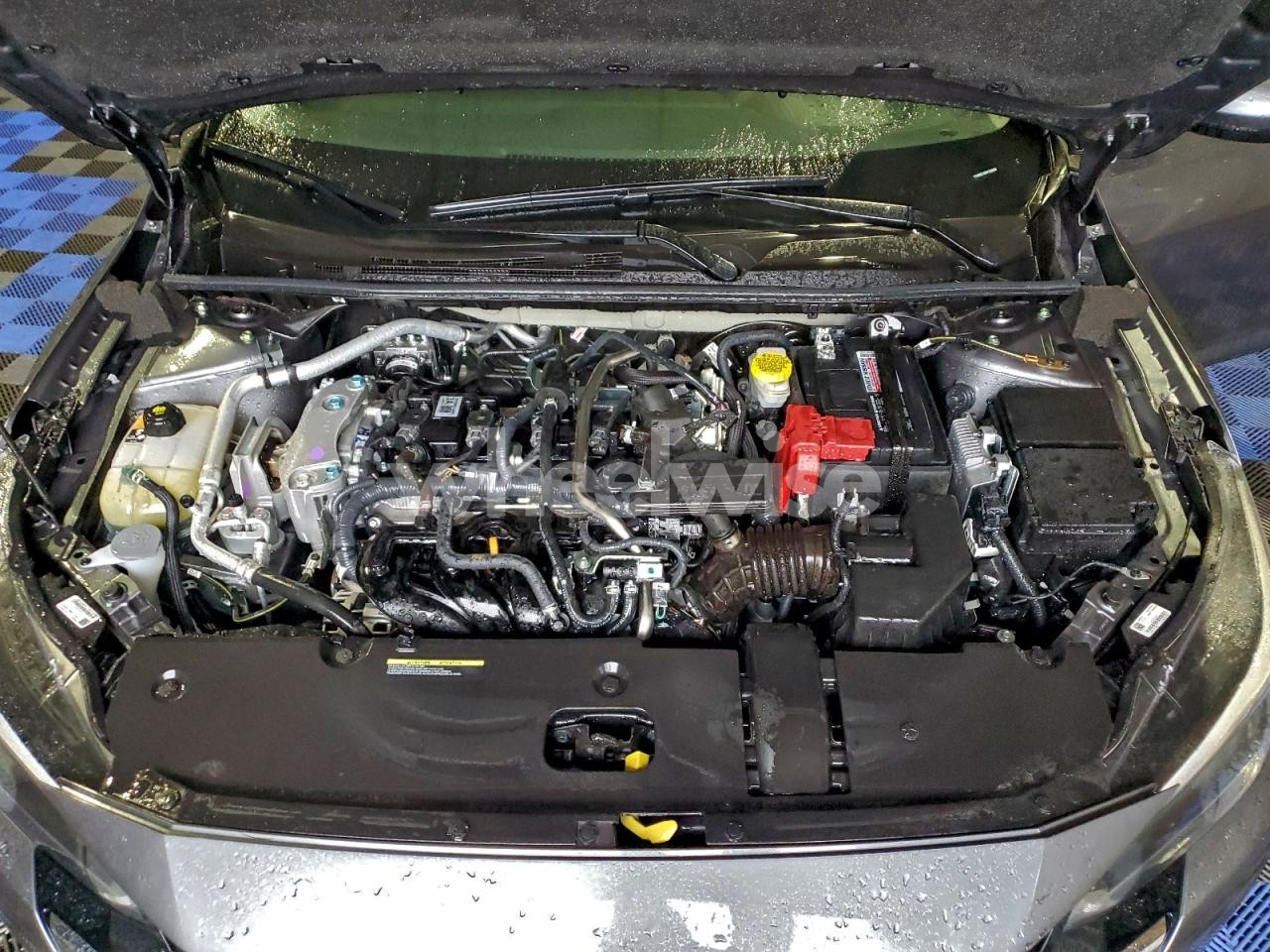 Photo 11 of 2025 NISSAN SENTRA SV (VIN 3N1AB8CV8SY329982)