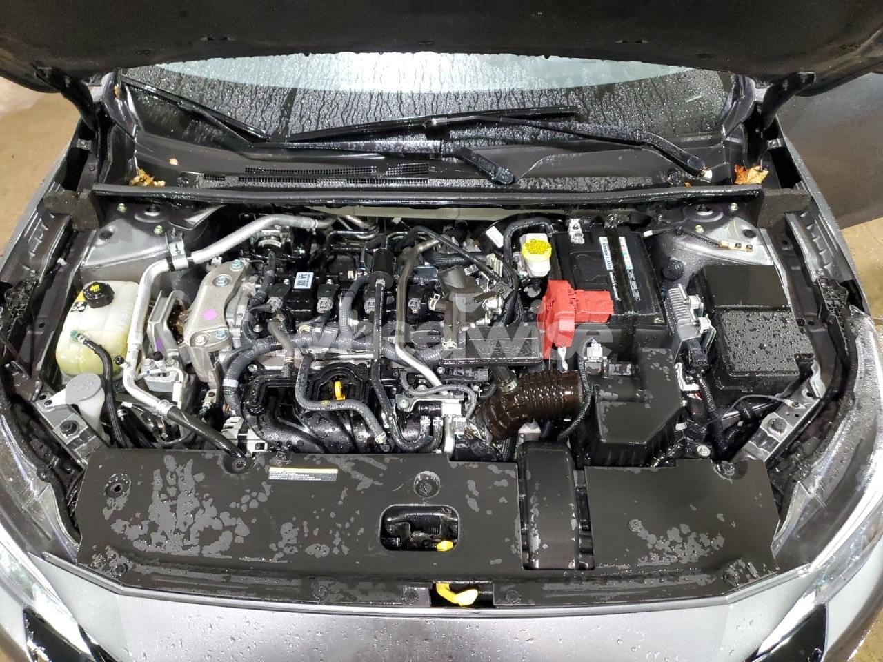 Photo 11 of 2025 NISSAN SENTRA SR N/A (VIN 3N1AB8DV7SY353642)