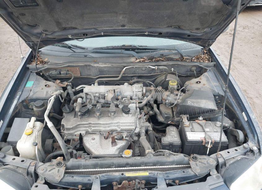 Photo 10 of 2006 Nissan Sentra 1.8S (VIN 3N1CB51D66L483773)