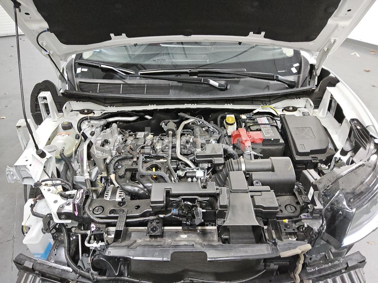 Photo 12 of 2025 NISSAN KICKS SV N/A (VIN 3N8AP6CBXSL396559)