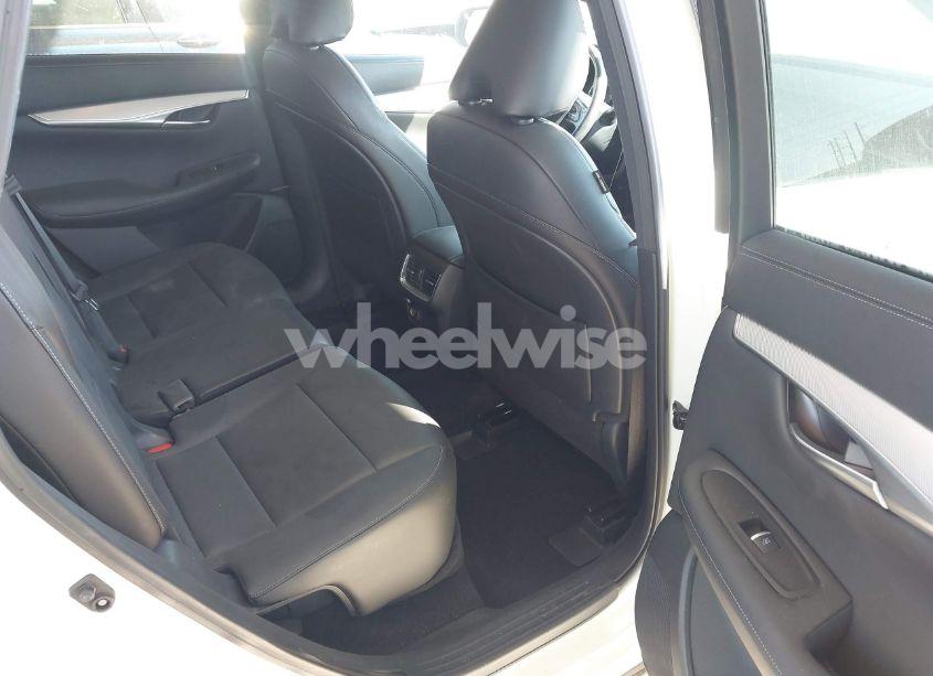 Photo 8 of 2020 Infiniti Qx50 LUXE (VIN 3PCAJ5M16LF112261)