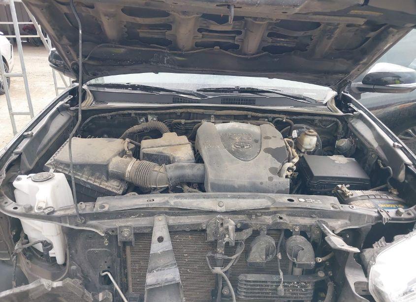Photo 10 of 2019 Toyota Tacoma TRD SPORT (VIN 3TMAZ5CN9KM079313)