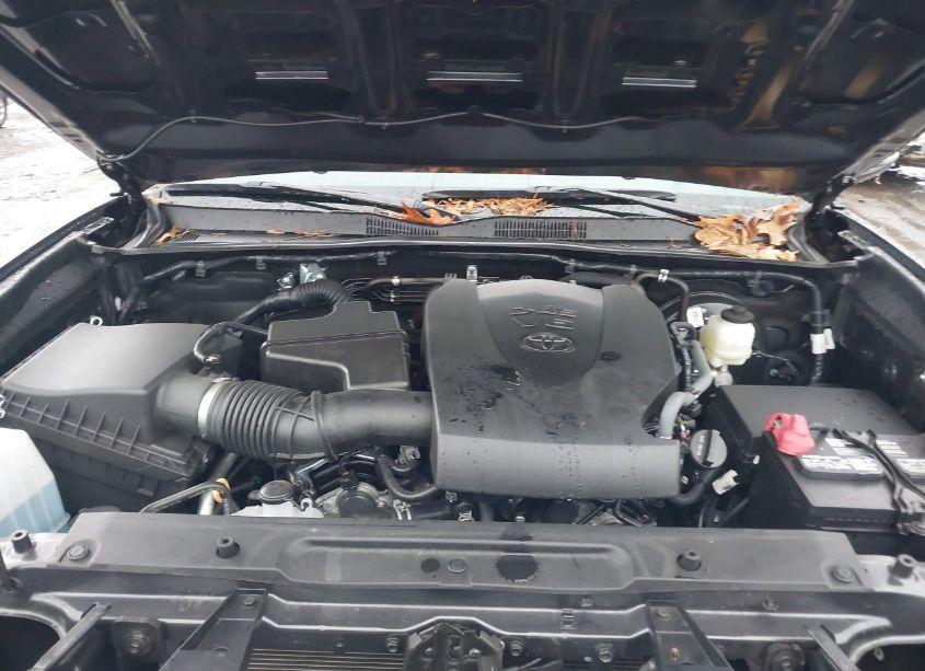 Photo 10 of 2023 Toyota Tacoma TRD SPORT (VIN 3TMCZ5AN3PM606555)