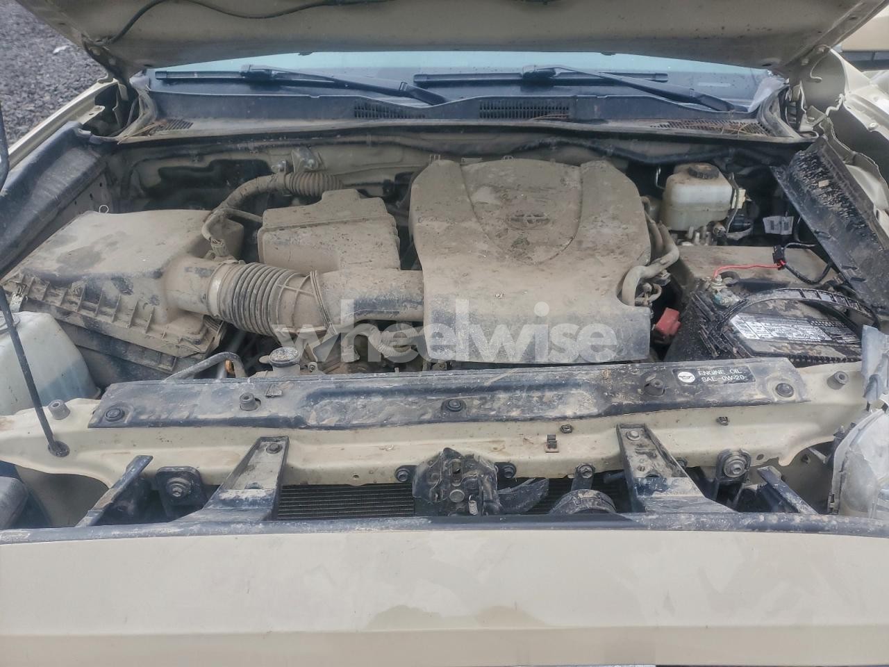 Photo 11 of 2019 TOYOTA TACOMA DOUBLE CAB (VIN 3TMCZ5AN4KM229548)