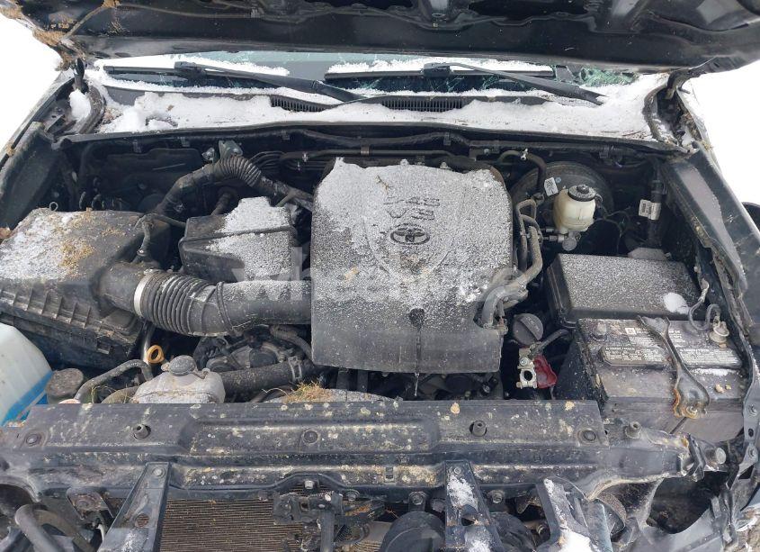 Photo 10 of 2020 Toyota Tacoma (VIN 3TMCZ5AN5LM338408)