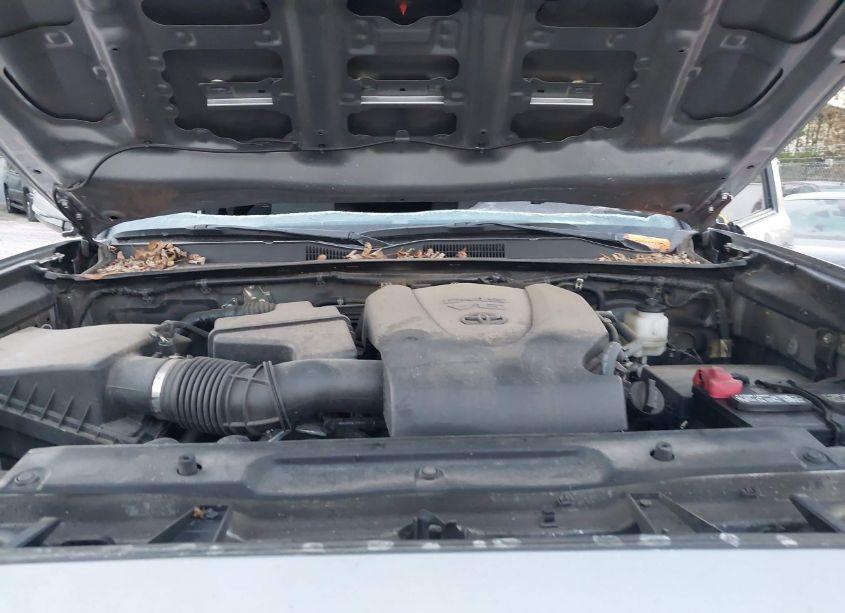 Photo 10 of 2021 Toyota Tacoma TRD SPORT (VIN 3TMCZ5AN5MM417367)