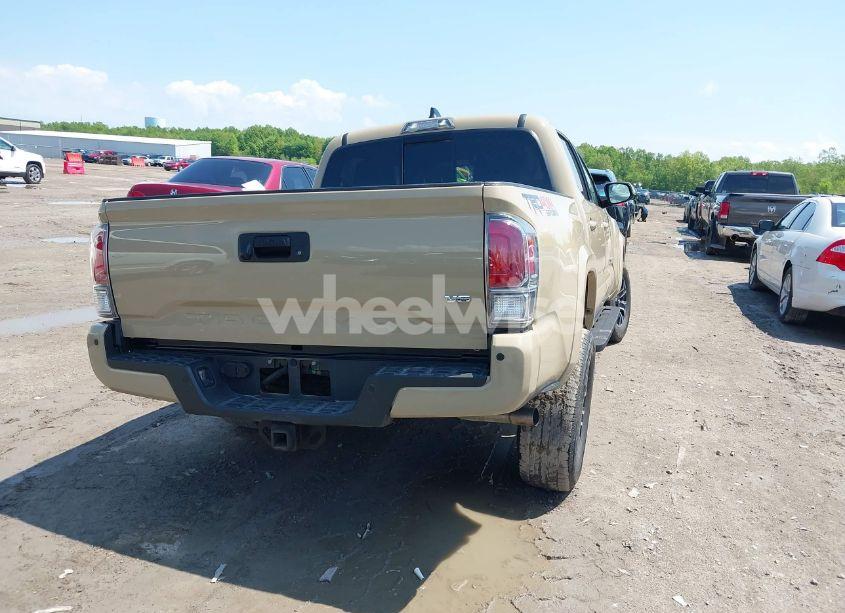Photo 4 of 2020 Toyota Tacoma (VIN 3TMCZ5AN7LM308553)