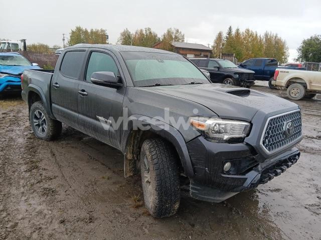 Photo 5 of 2019 TOYOTA TACOMA DOUBLE CAB (VIN 3TMCZ5AN8KM251794)