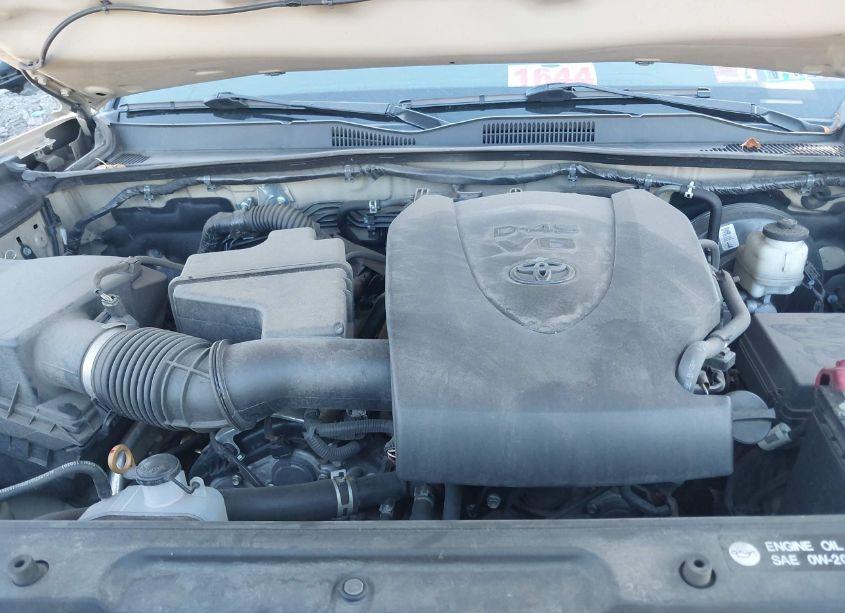 Photo 10 of 2019 Toyota Tacoma TRD SPORT (VIN 3TMCZ5AN8KM261127)