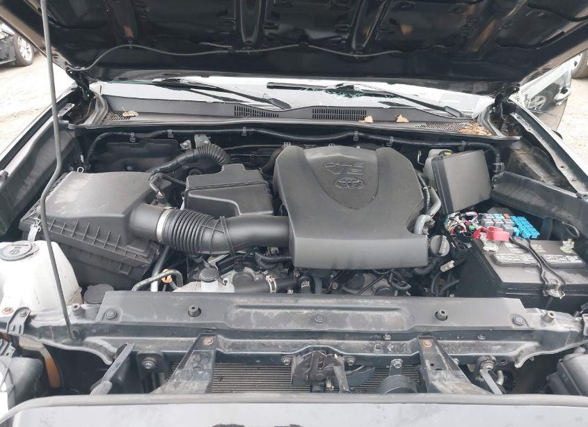 Photo 10 of 2020 Toyota Tacoma TRD OFF-ROAD (VIN 3TMCZ5AN9LM318307)