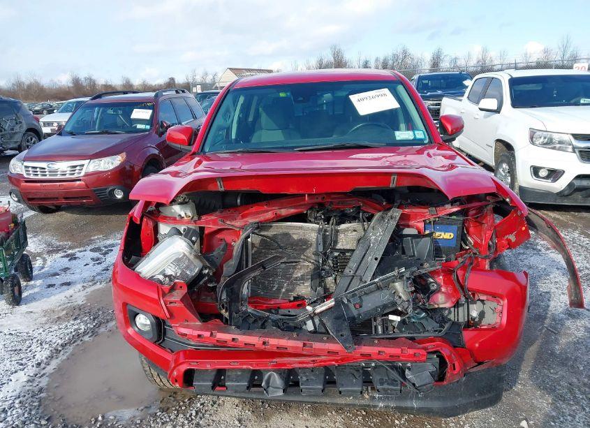 Photo 12 of 2019 Toyota Tacoma SR5 V6 (VIN 3TMCZ5ANXKM203374)