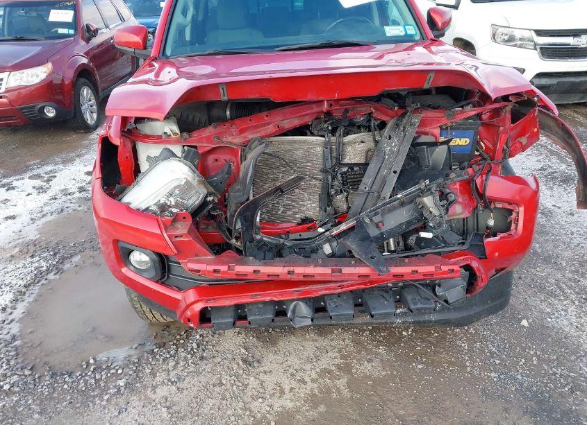 Photo 17 of 2019 Toyota Tacoma SR5 V6 (VIN 3TMCZ5ANXKM203374)