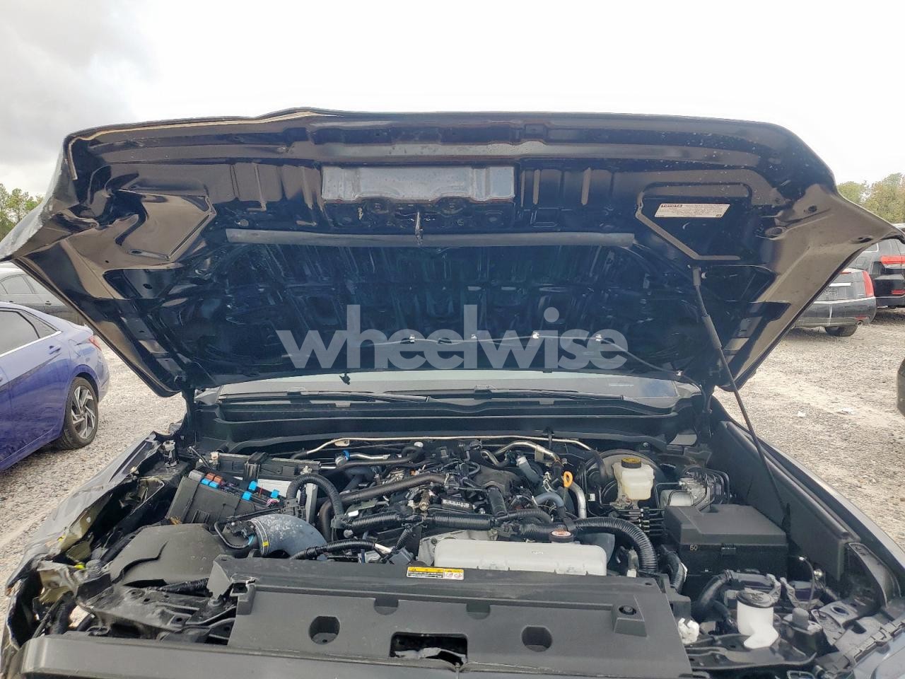 Photo 11 of 2025 TOYOTA TACOMA DOUBLE CAB (VIN 3TMKB5FN2SM031916)