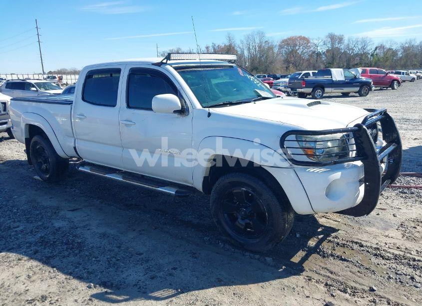 2011 Toyota Tacoma PRERUNNER V6 (VIN 3TMKU4HN4BM029599) main photo