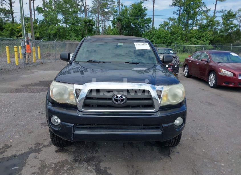 Photo 12 of 2005 Toyota Tacoma PRERUNNER V6 (VIN 3TMKU72N45M002966)